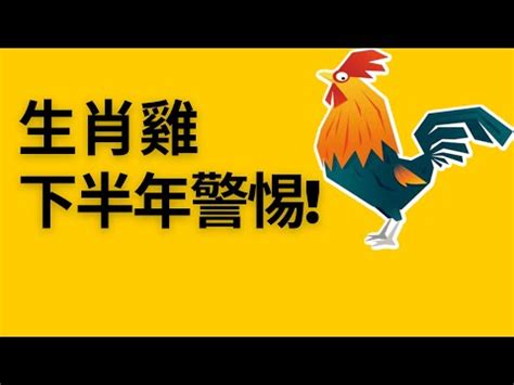 2023屬雞運勢|2023年12生肖幸運月出爐！屬雞長達6個月都交好運